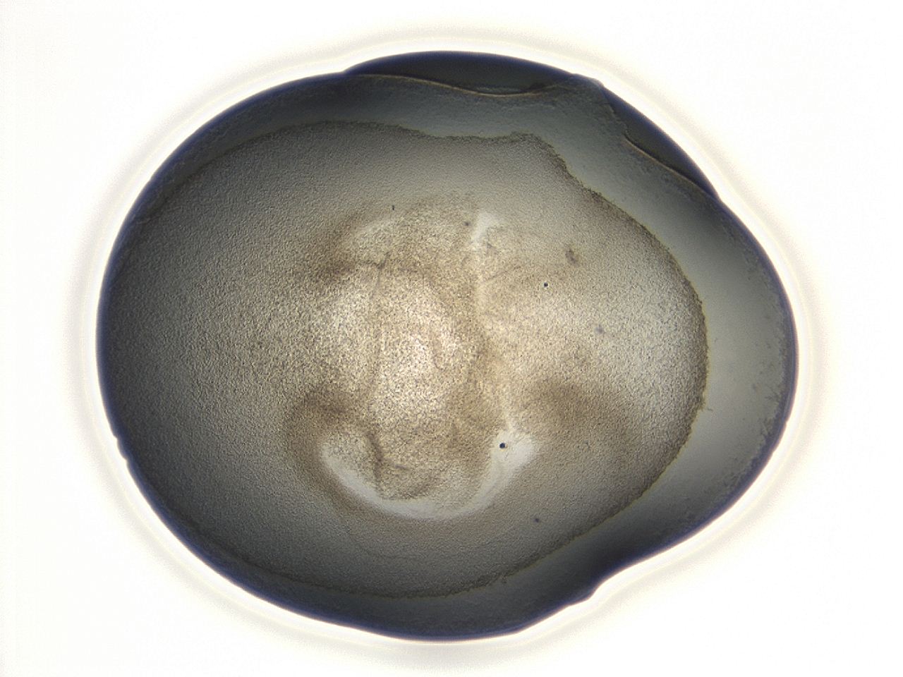 047d_F9_ImagerDefaults_3.jpg