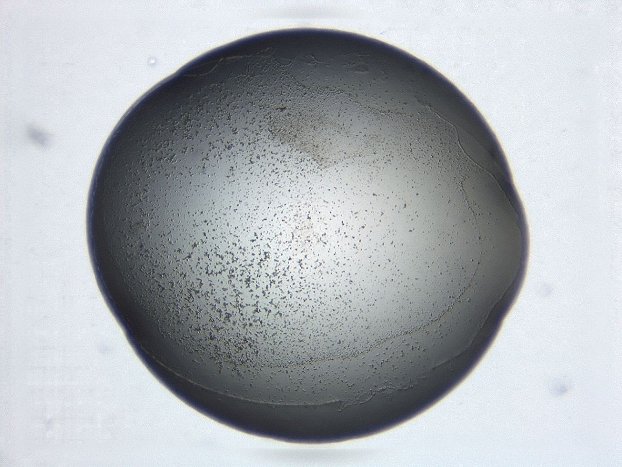 047d_F10_ImagerDefaults_3.jpg