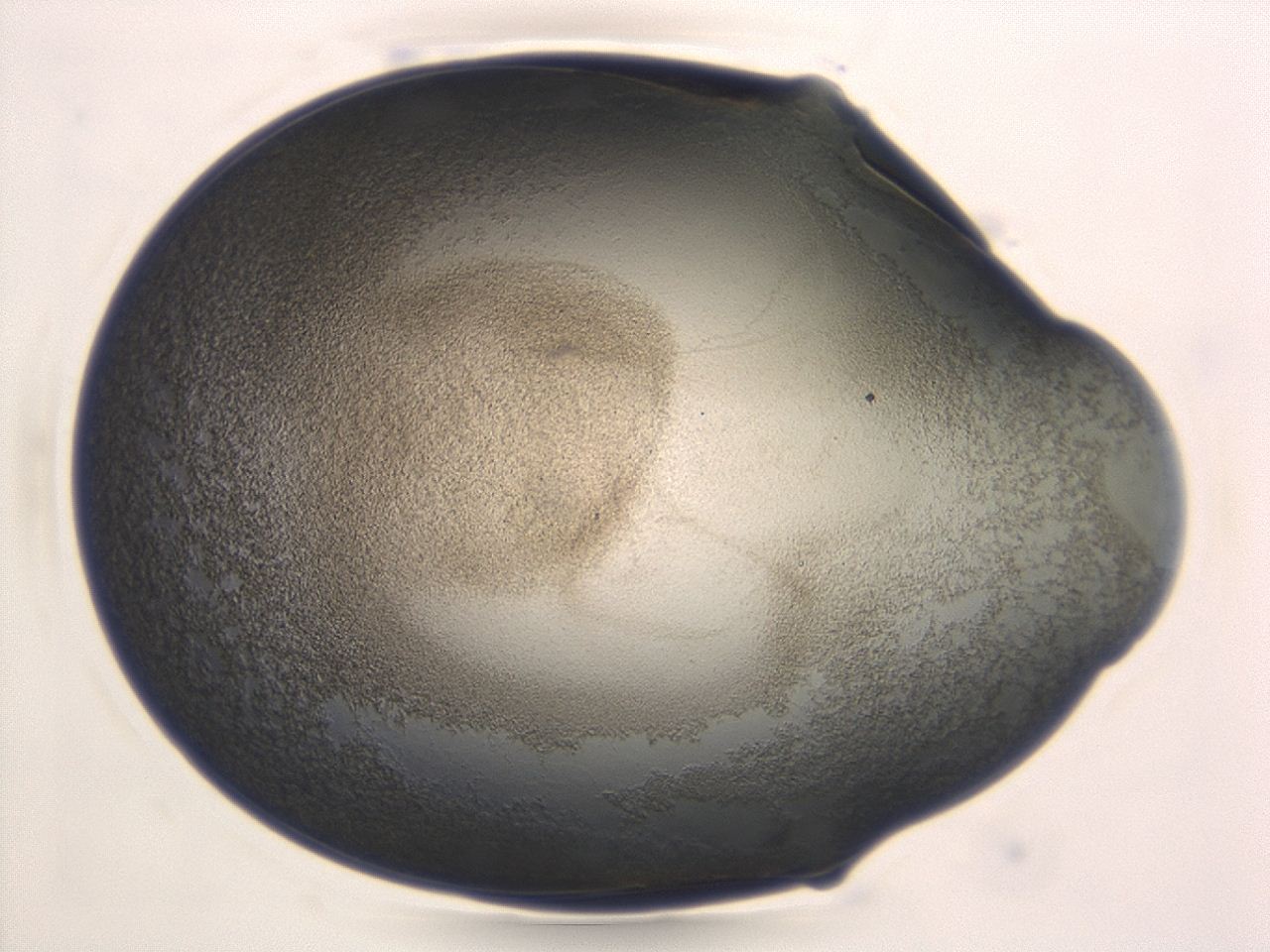 047d_F11_ImagerDefaults_3.jpg