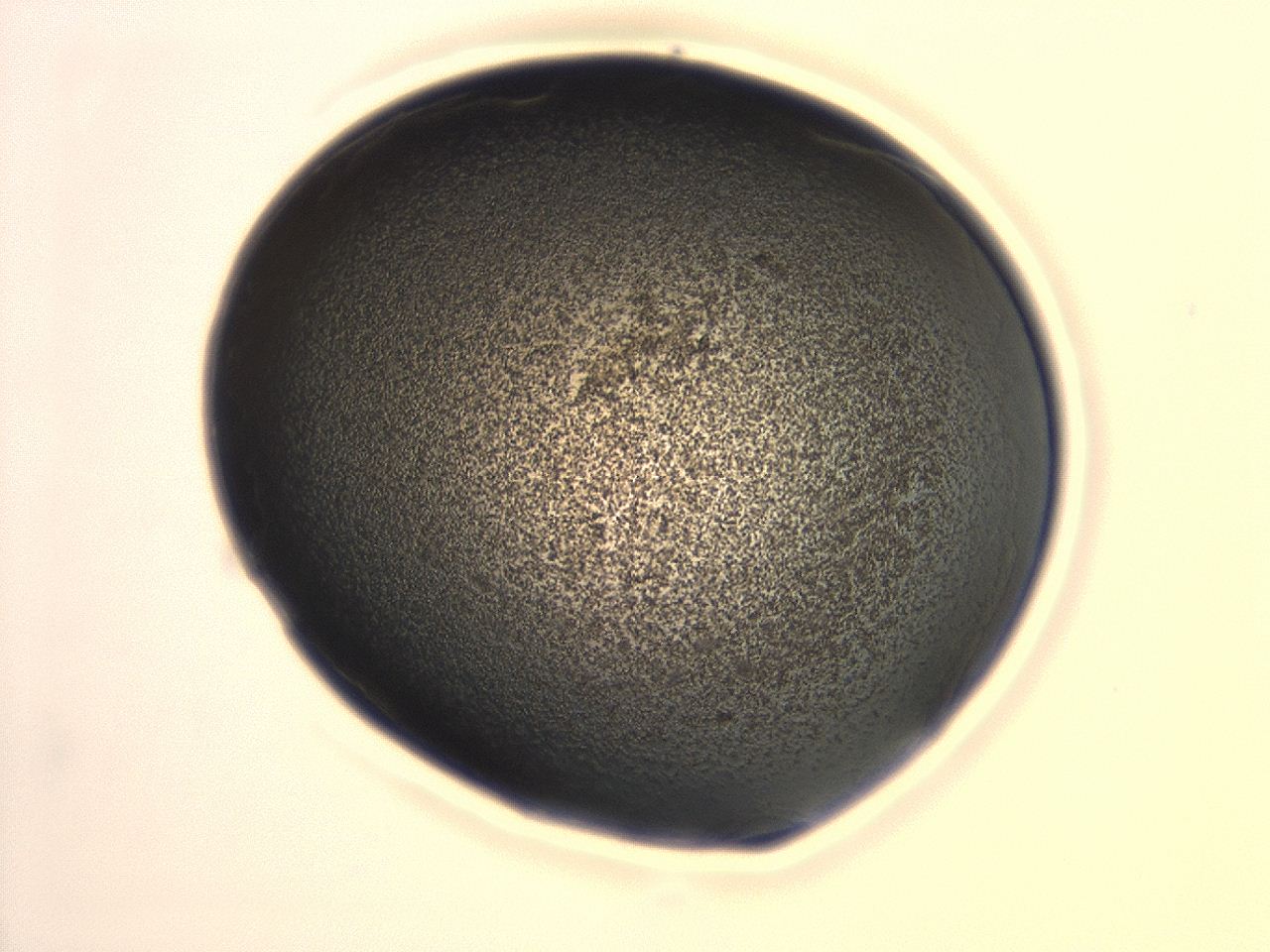 047d_G2_ImagerDefaults_3.jpg