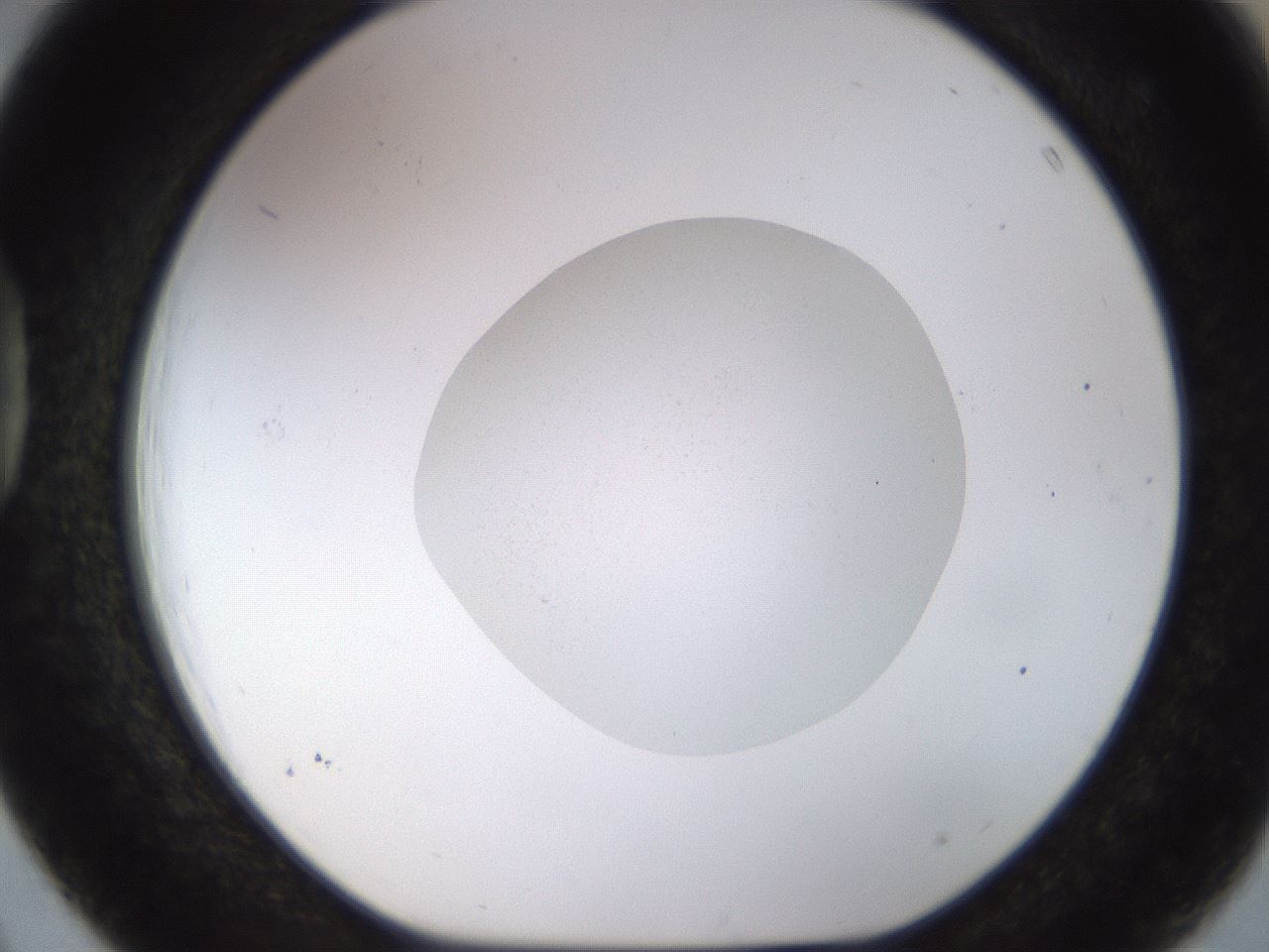 folderID492_plateID1492_batchID5935_wellNum39_profileID1_d1_r94558_ef.jpg