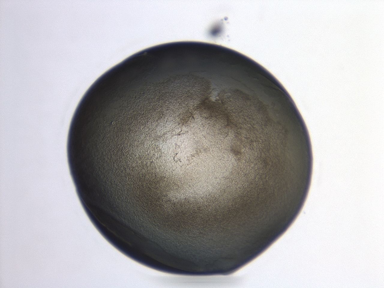047d_G3_ImagerDefaults_3.jpg