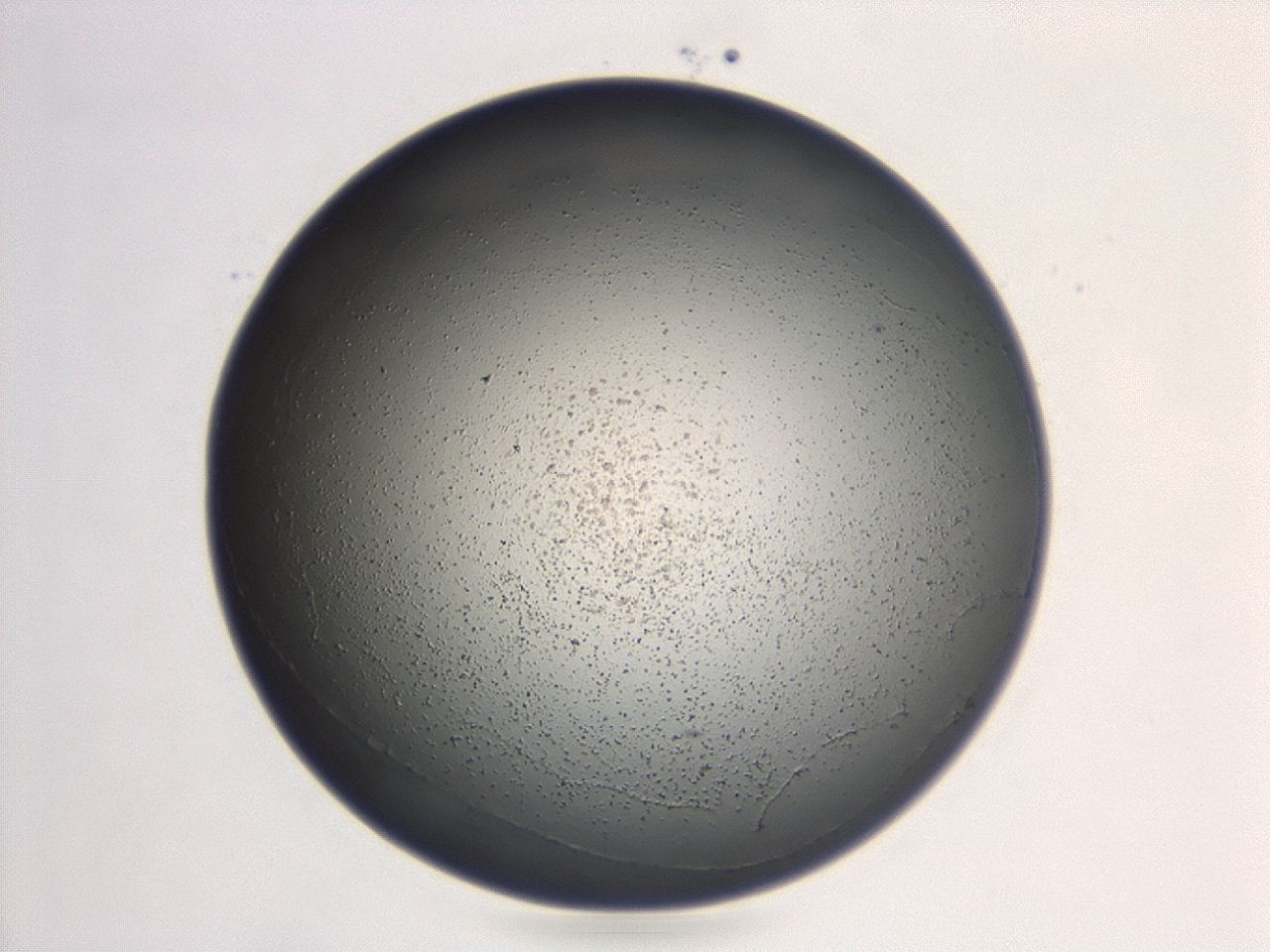 047d_G4_ImagerDefaults_3.jpg