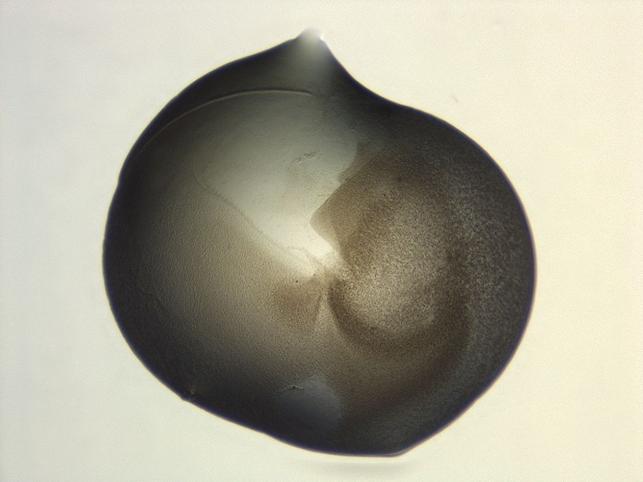 047d_G6_ImagerDefaults_3.jpg