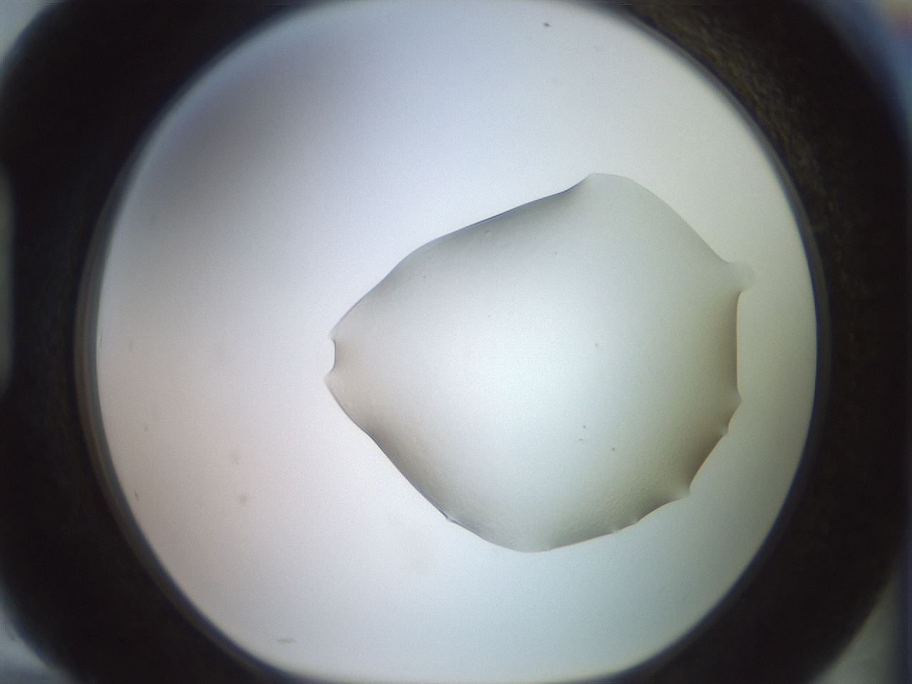 folderID493_plateID3493_batchID20767_wellNum94_profileID1_d1_r311613_ef.jpg