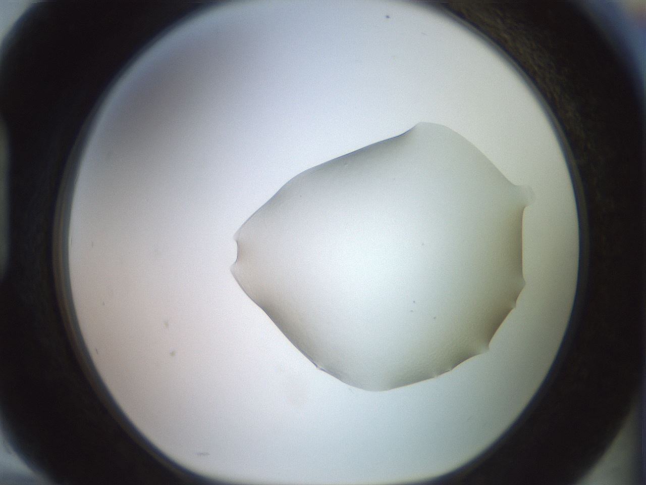 folderID493_plateID3493_batchID22048_wellNum94_profileID1_d1_r311613_ef.jpg