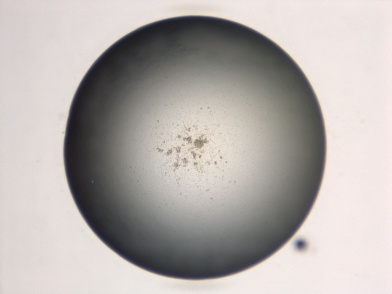 047d_G8_ImagerDefaults_0.jpg