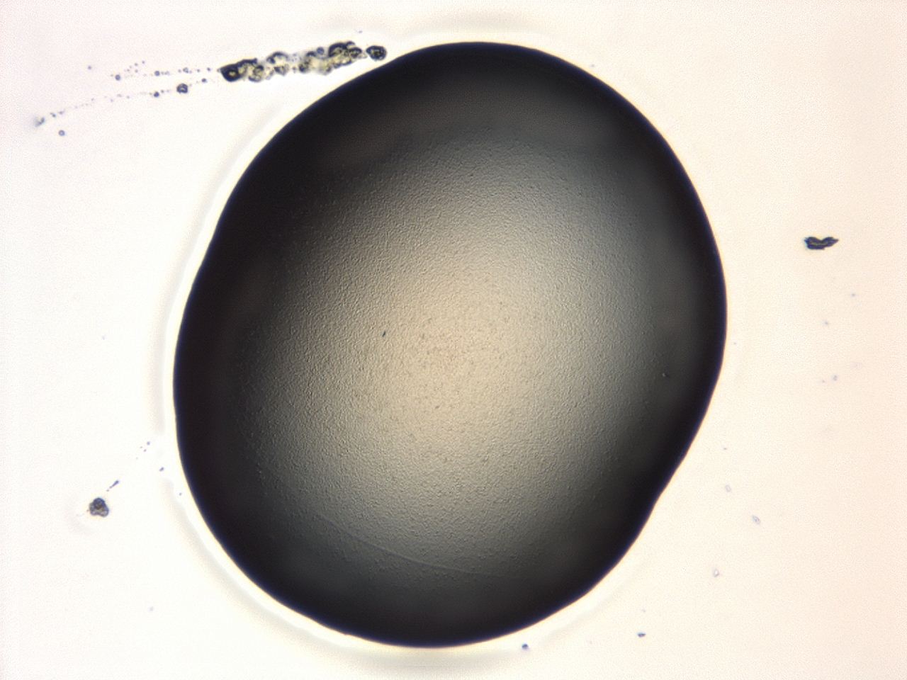 047d_A6_ImagerDefaults_0.jpg