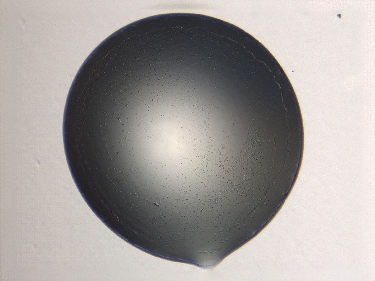 047d_A8_ImagerDefaults_0.jpg