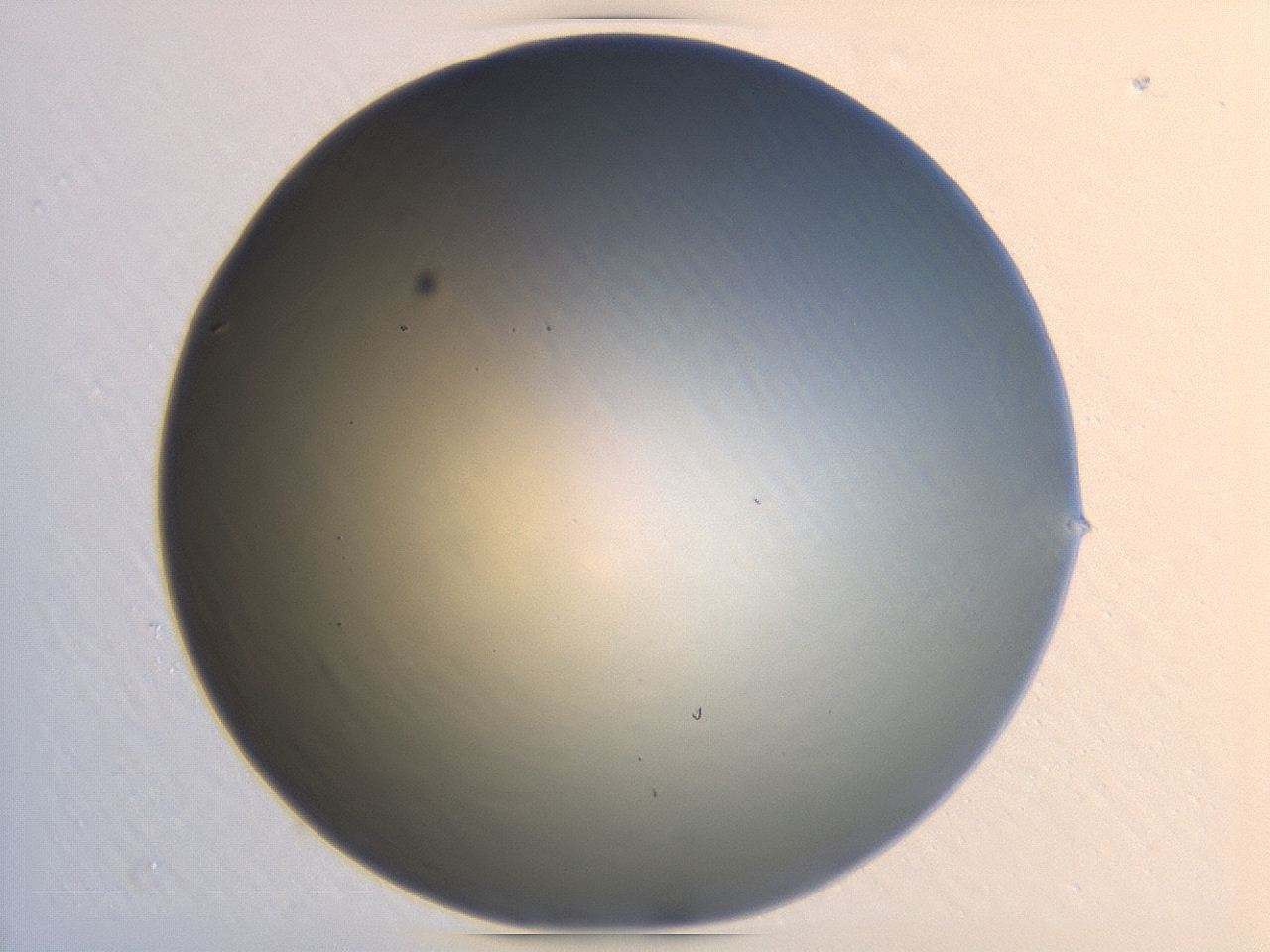 047d_A11_ImagerDefaults_0.jpg