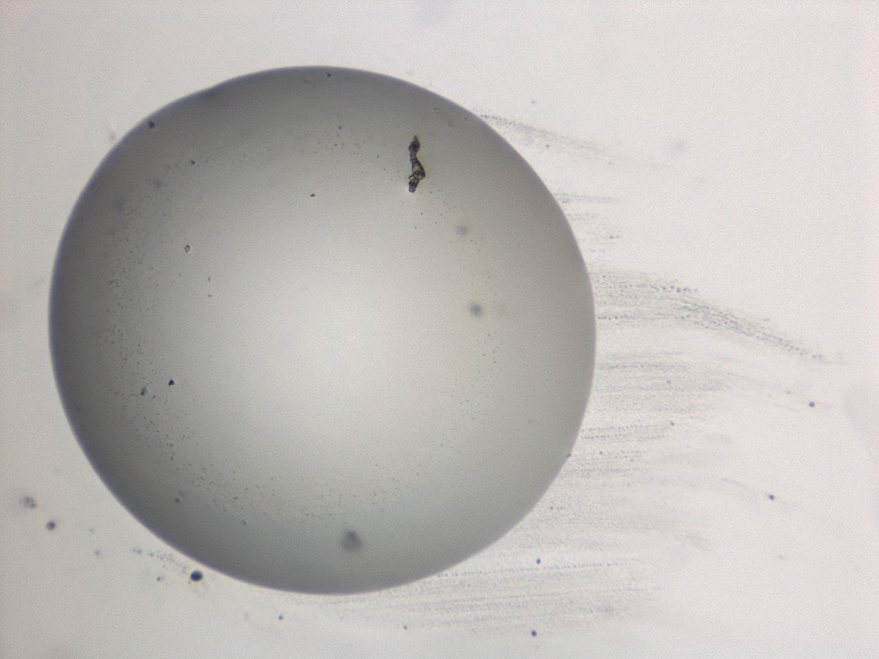 047d_A12_ImagerDefaults_0.jpg
