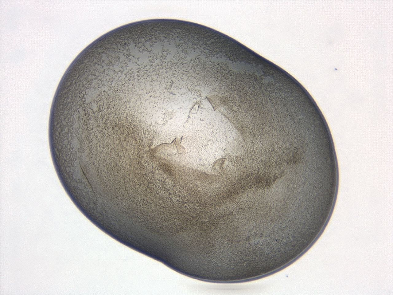 047d_B1_ImagerDefaults_3.jpg