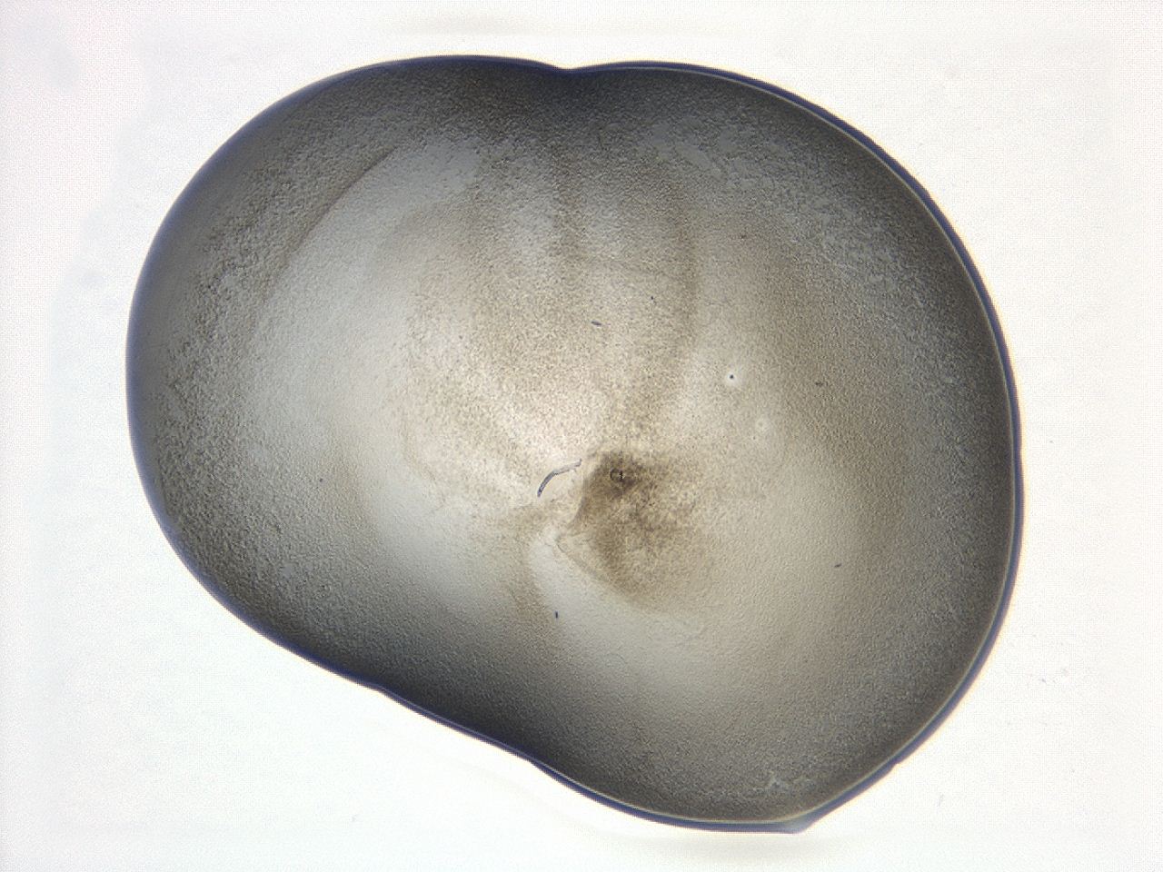 047d_D7_ImagerDefaults_3.jpg