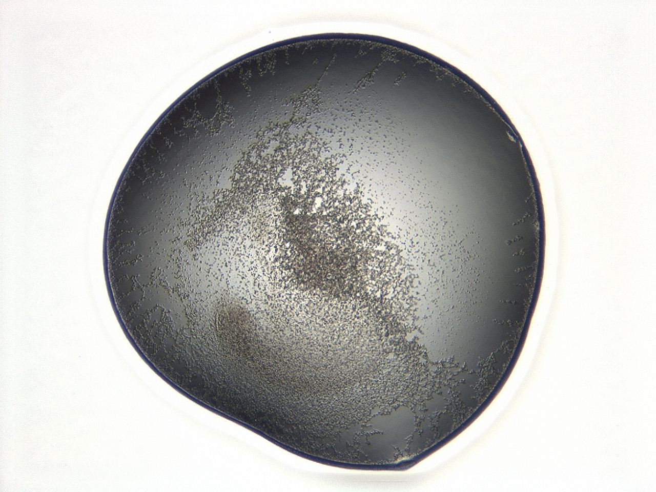047d_D8_ImagerDefaults_3.jpg