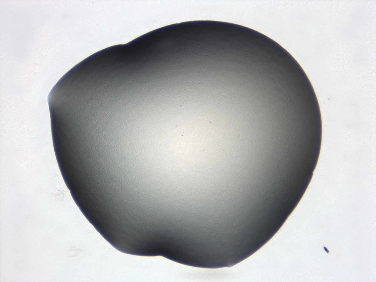 047d_D9_ImagerDefaults_0.jpg