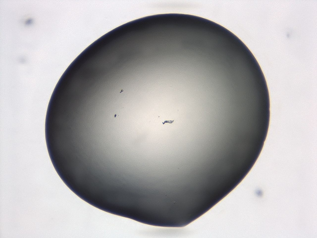 047d_D10_ImagerDefaults_0.jpg