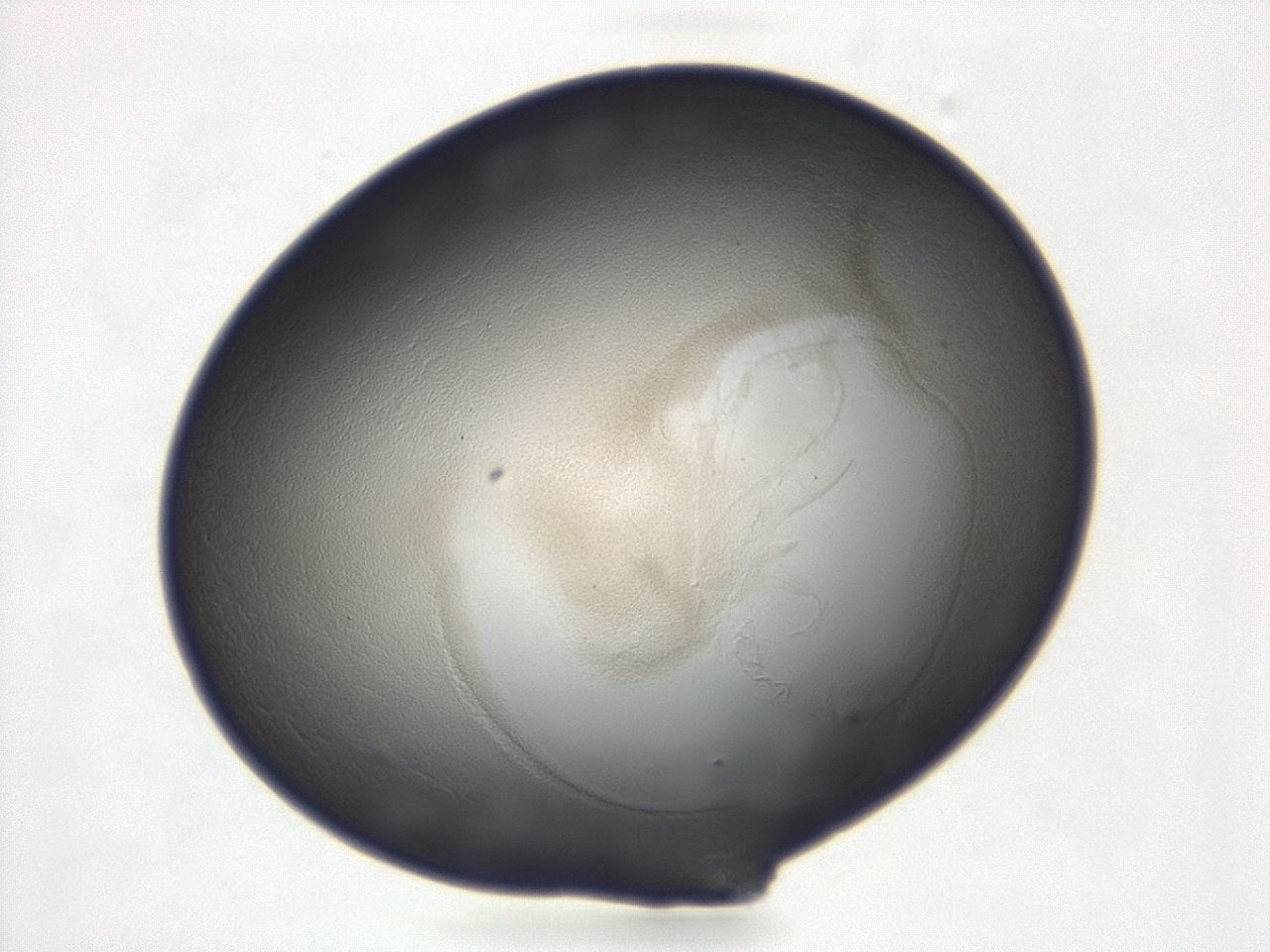 047d_D11_ImagerDefaults_3.jpg