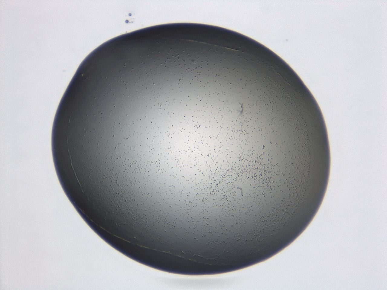 047d_E6_ImagerDefaults_3.jpg