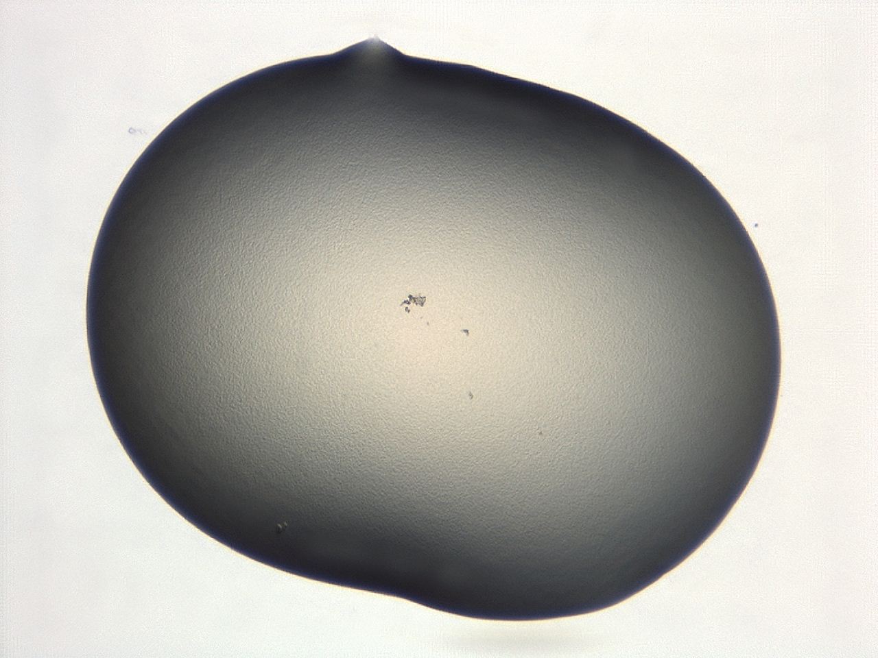 047d_E7_ImagerDefaults_0.jpg