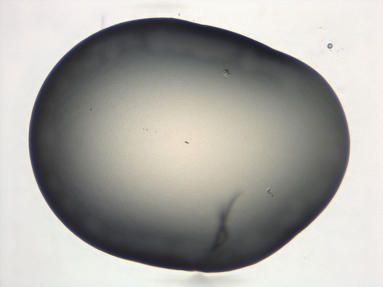 047d_E8_ImagerDefaults_0.jpg