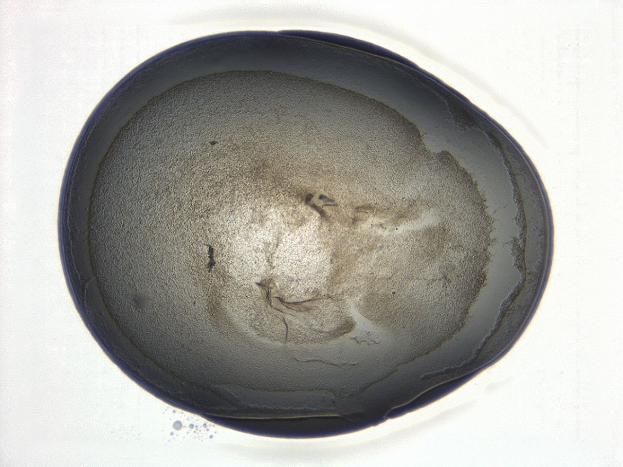 047d_E9_ImagerDefaults_3.jpg