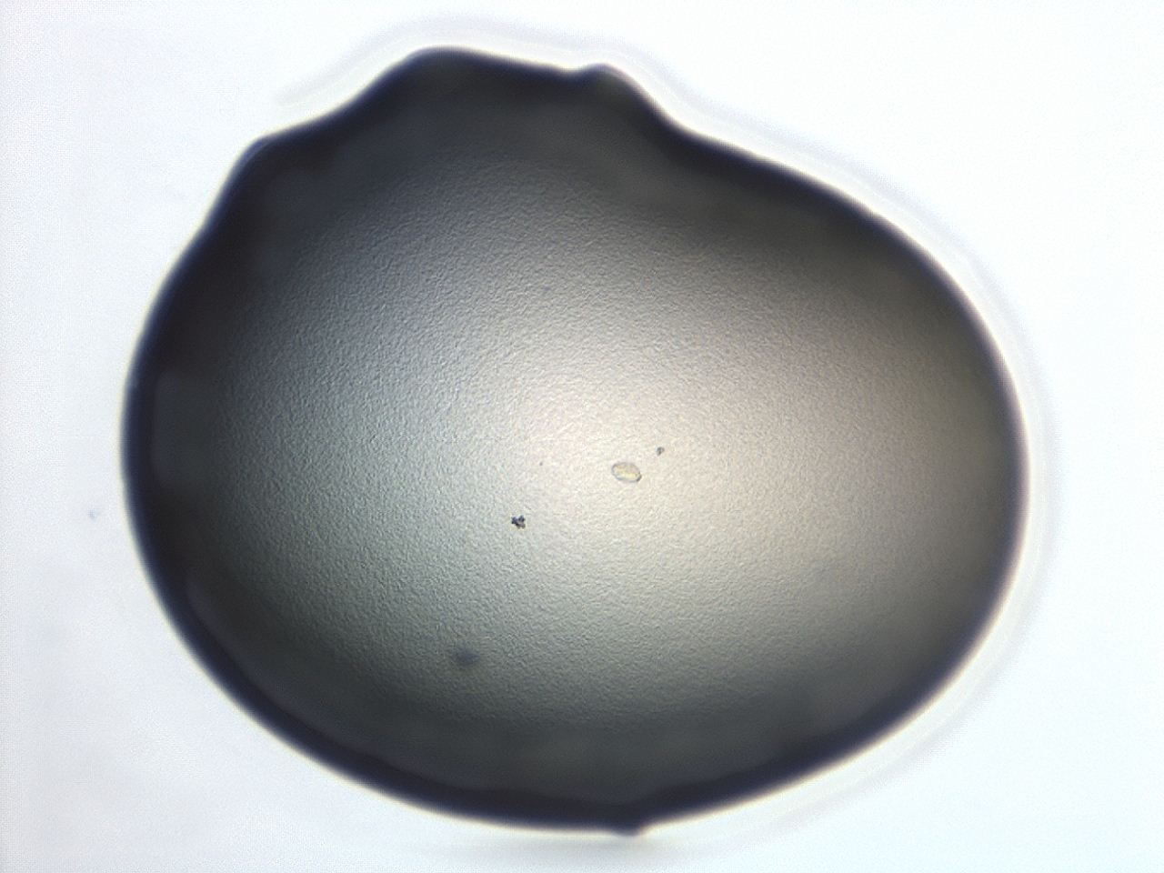 047d_G11_ImagerDefaults_3.jpg