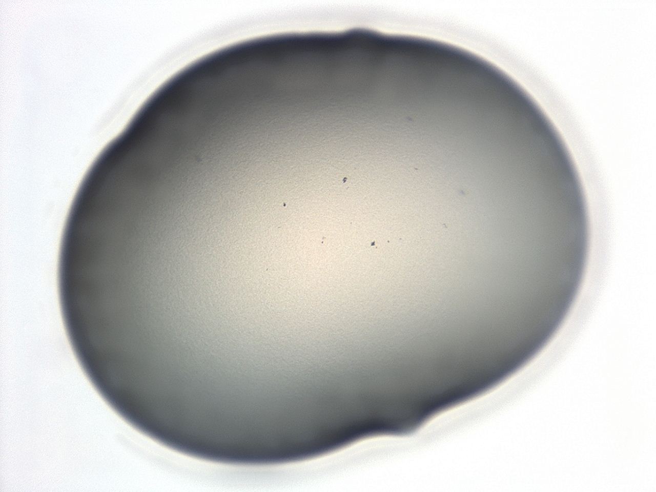 047d_G12_ImagerDefaults_0.jpg