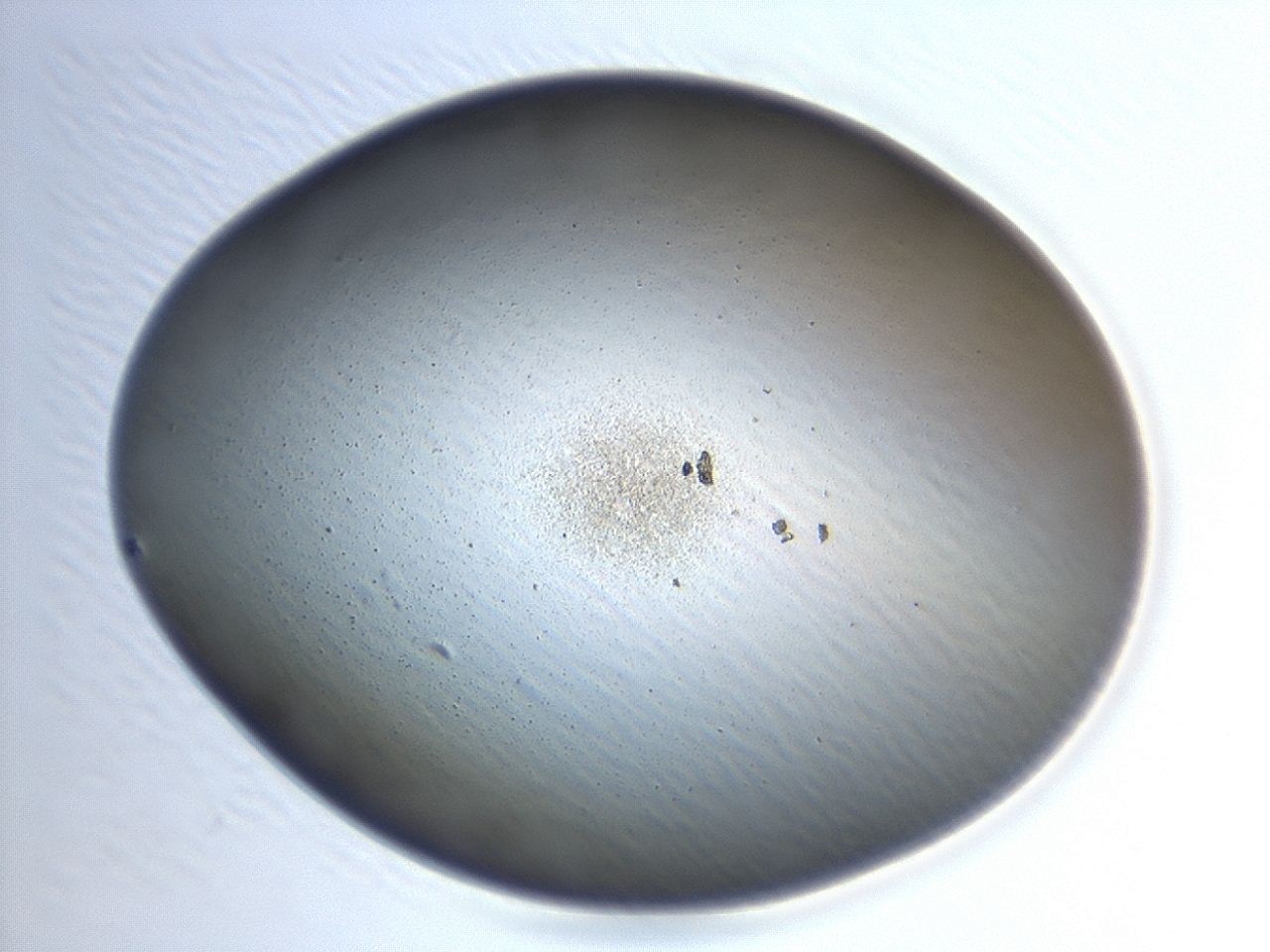 047d_H1_ImagerDefaults_0.jpg