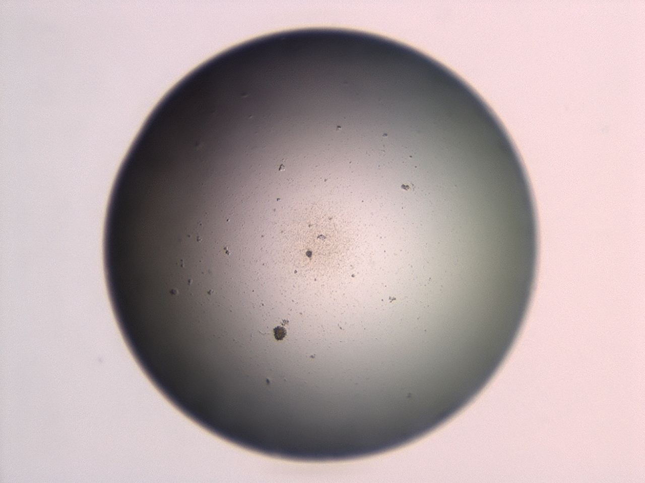 047d_H2_ImagerDefaults_0.jpg