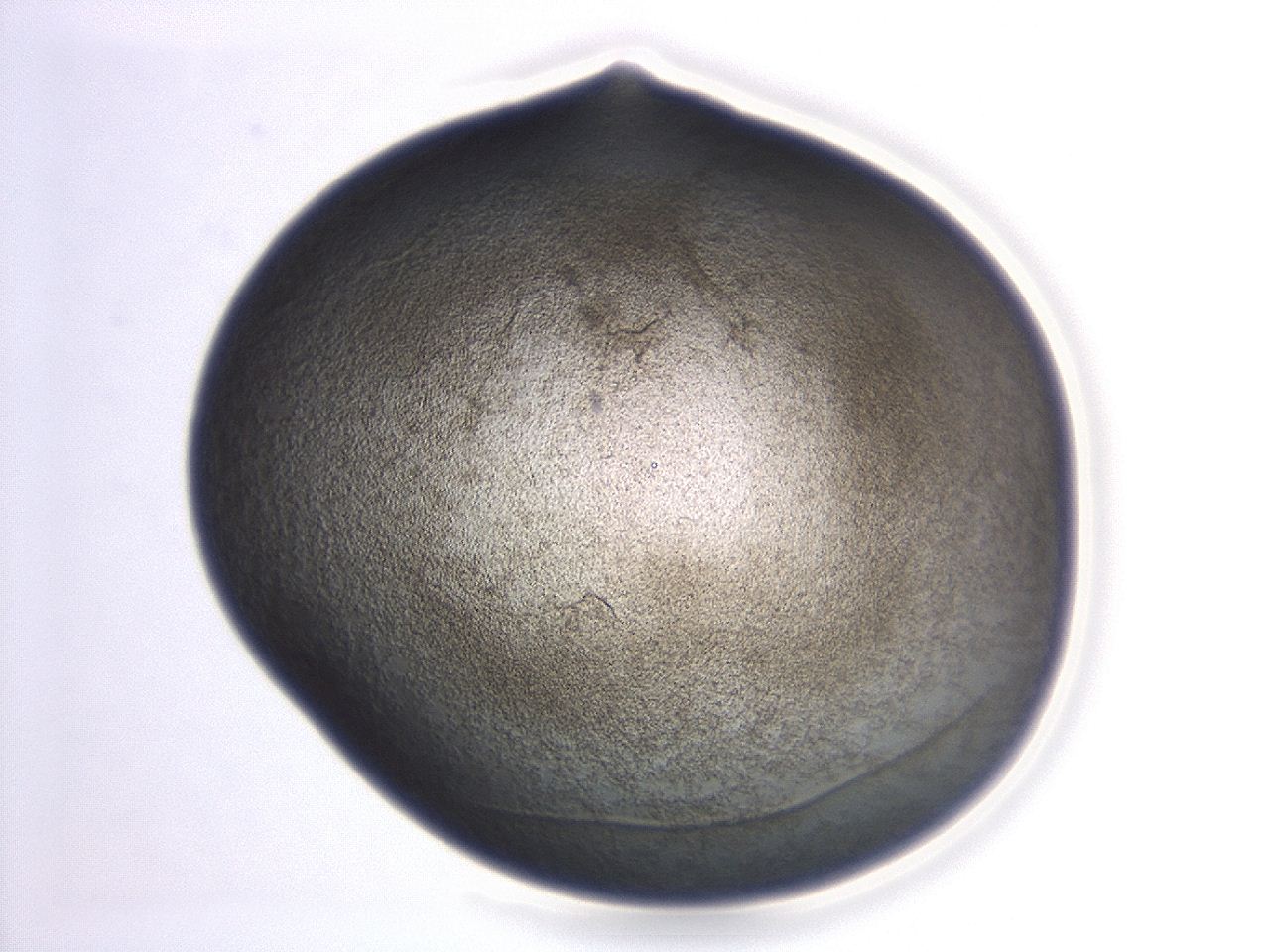 047d_H3_ImagerDefaults_3.jpg