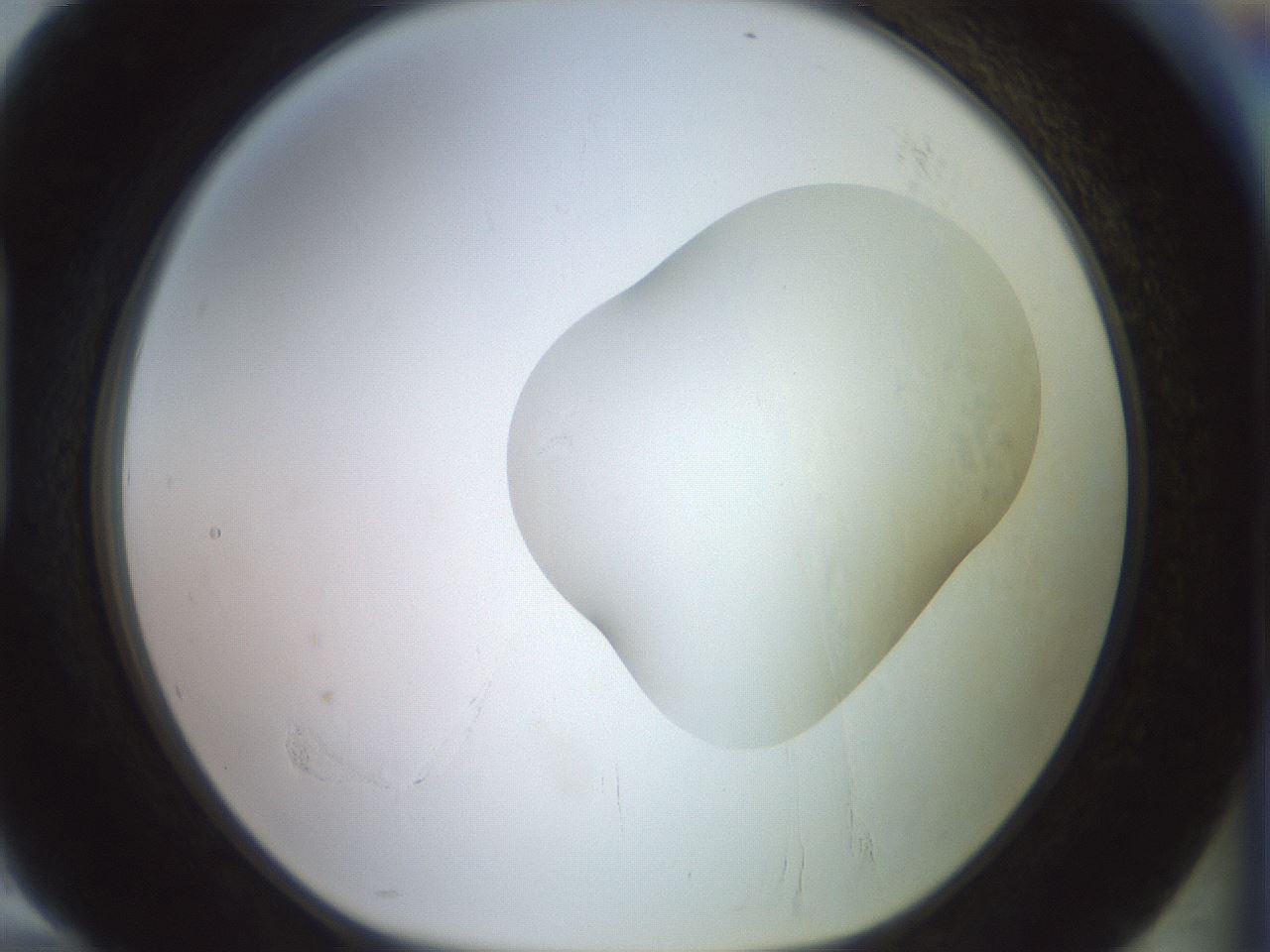folderID499_plateID3499_batchID21696_wellNum94_profileID1_d1_r312768_ef.jpg