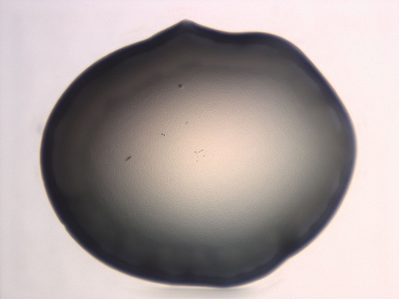 047d_H6_ImagerDefaults_0.jpg