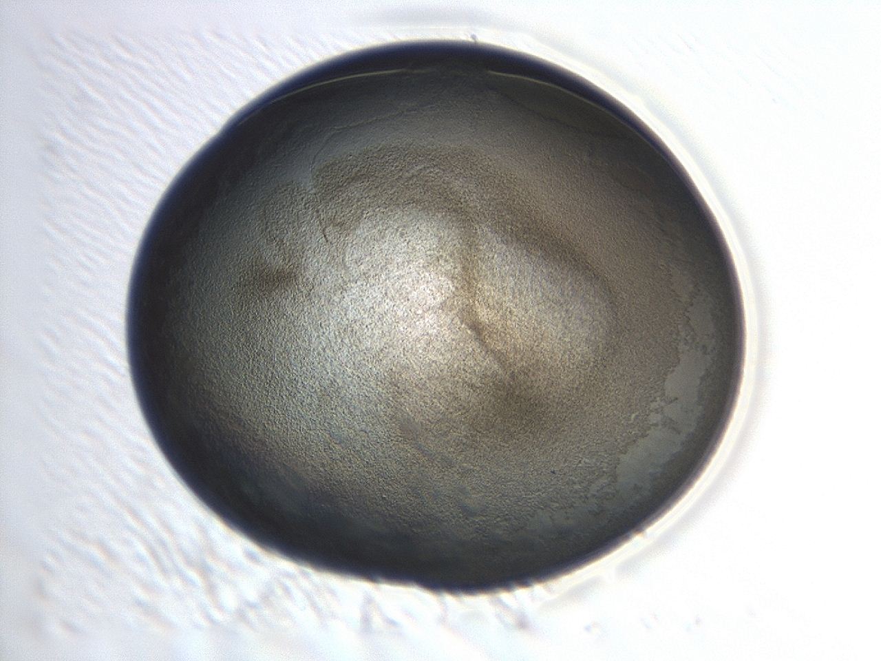 047d_H9_ImagerDefaults_3.jpg