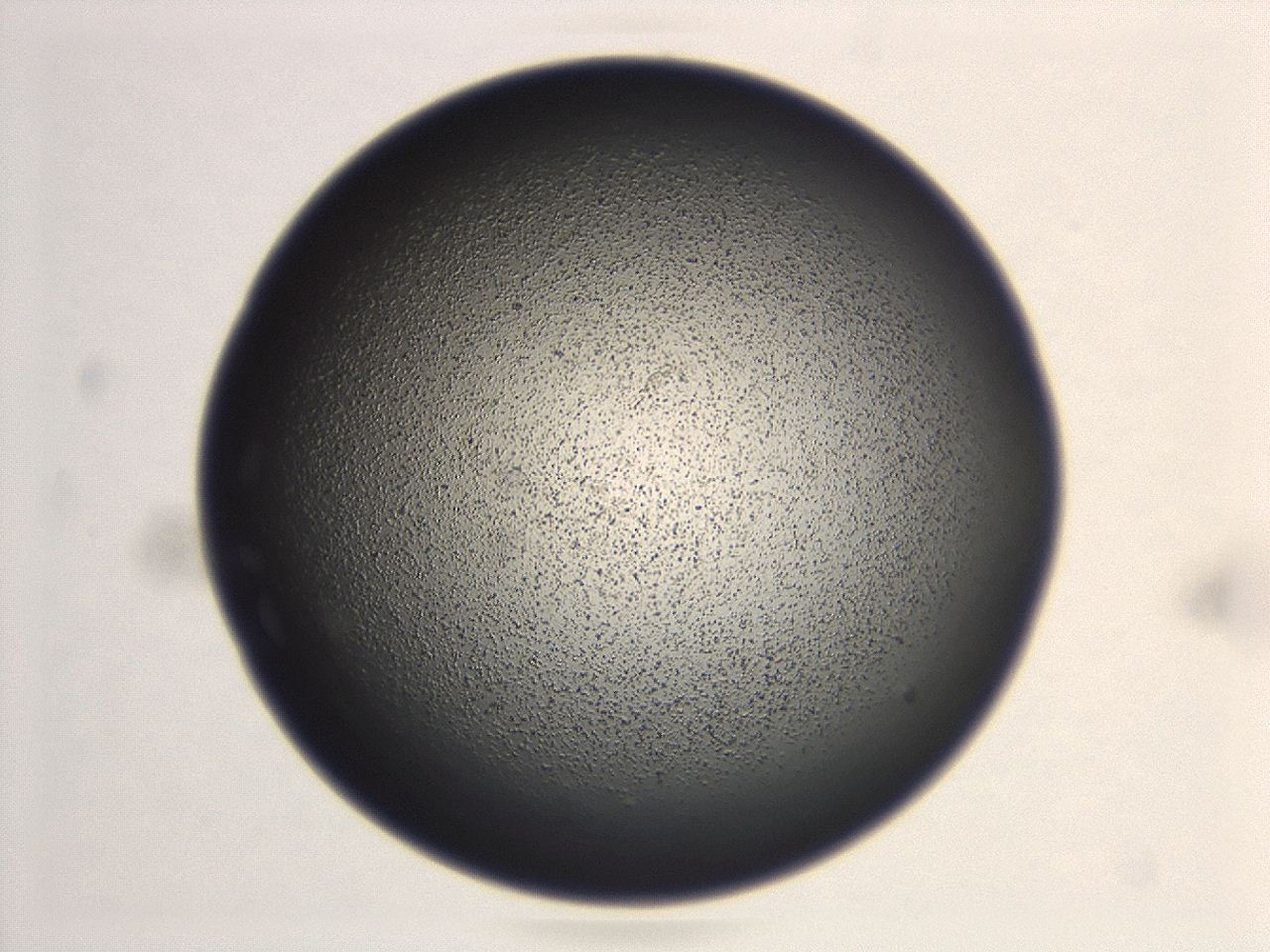 047d_H10_ImagerDefaults_3.jpg