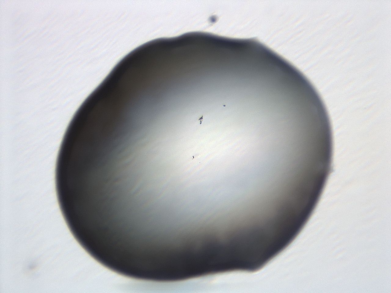 047d_H12_ImagerDefaults_0.jpg