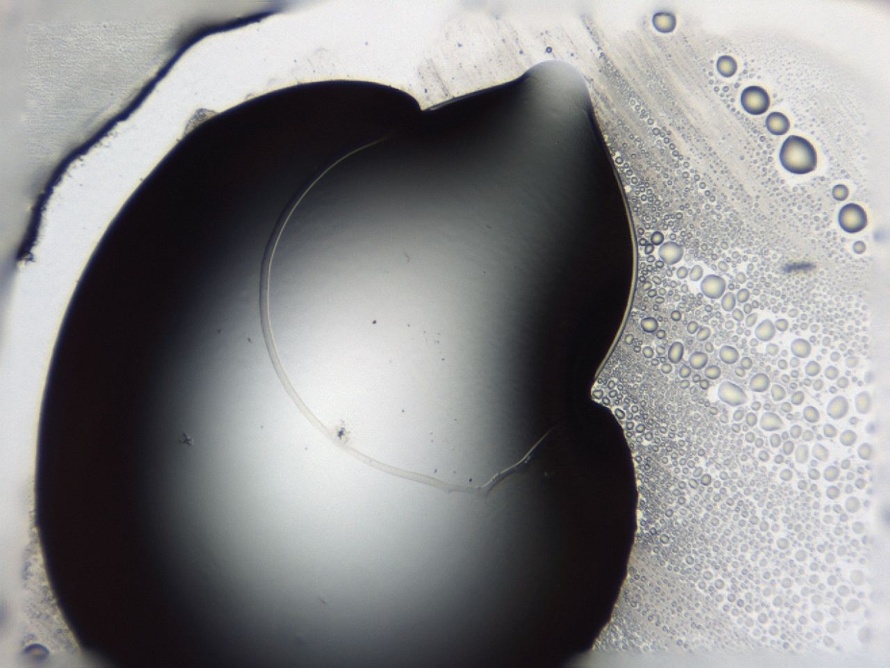 047e_C5_ImagerDefaults_0.jpg