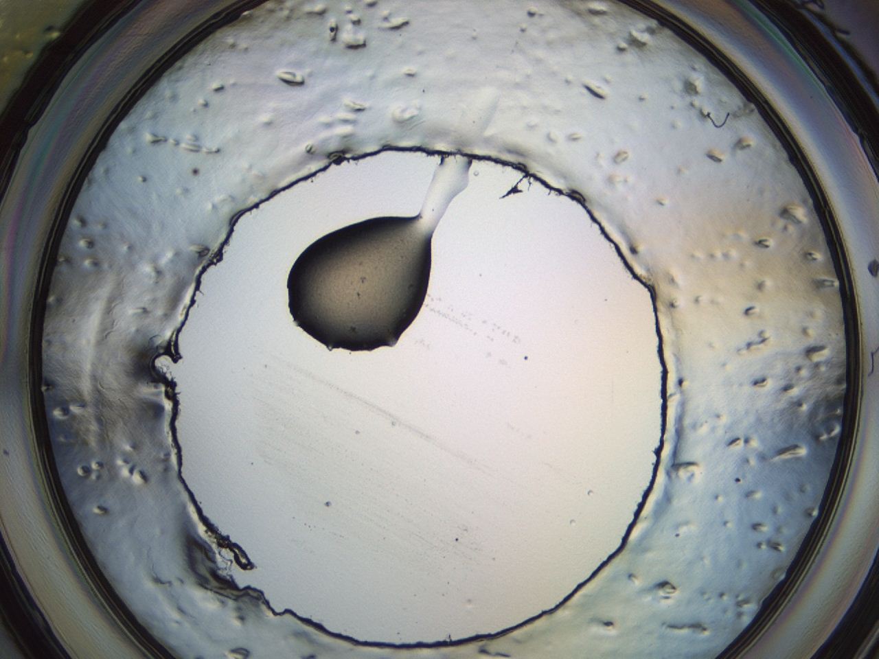 047e_C6_ImagerDefaults_3.jpg