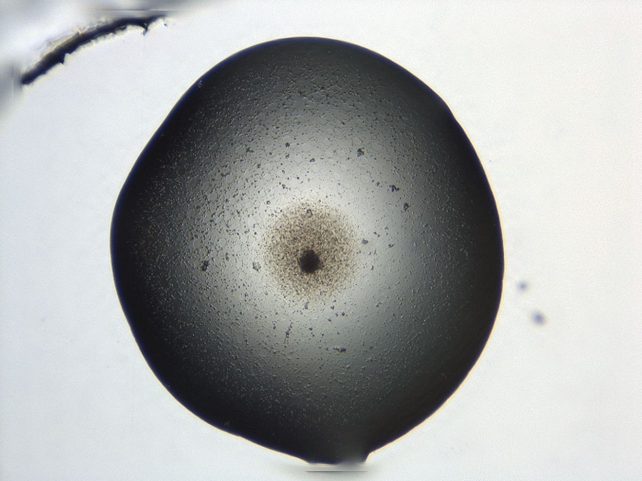 047e_C7_ImagerDefaults_3.jpg