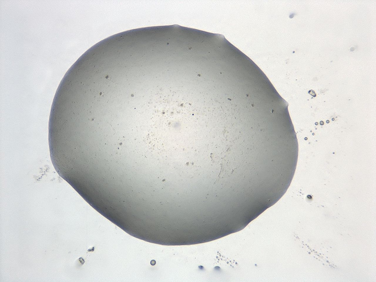 047e_C3_ImagerDefaults_0.jpg