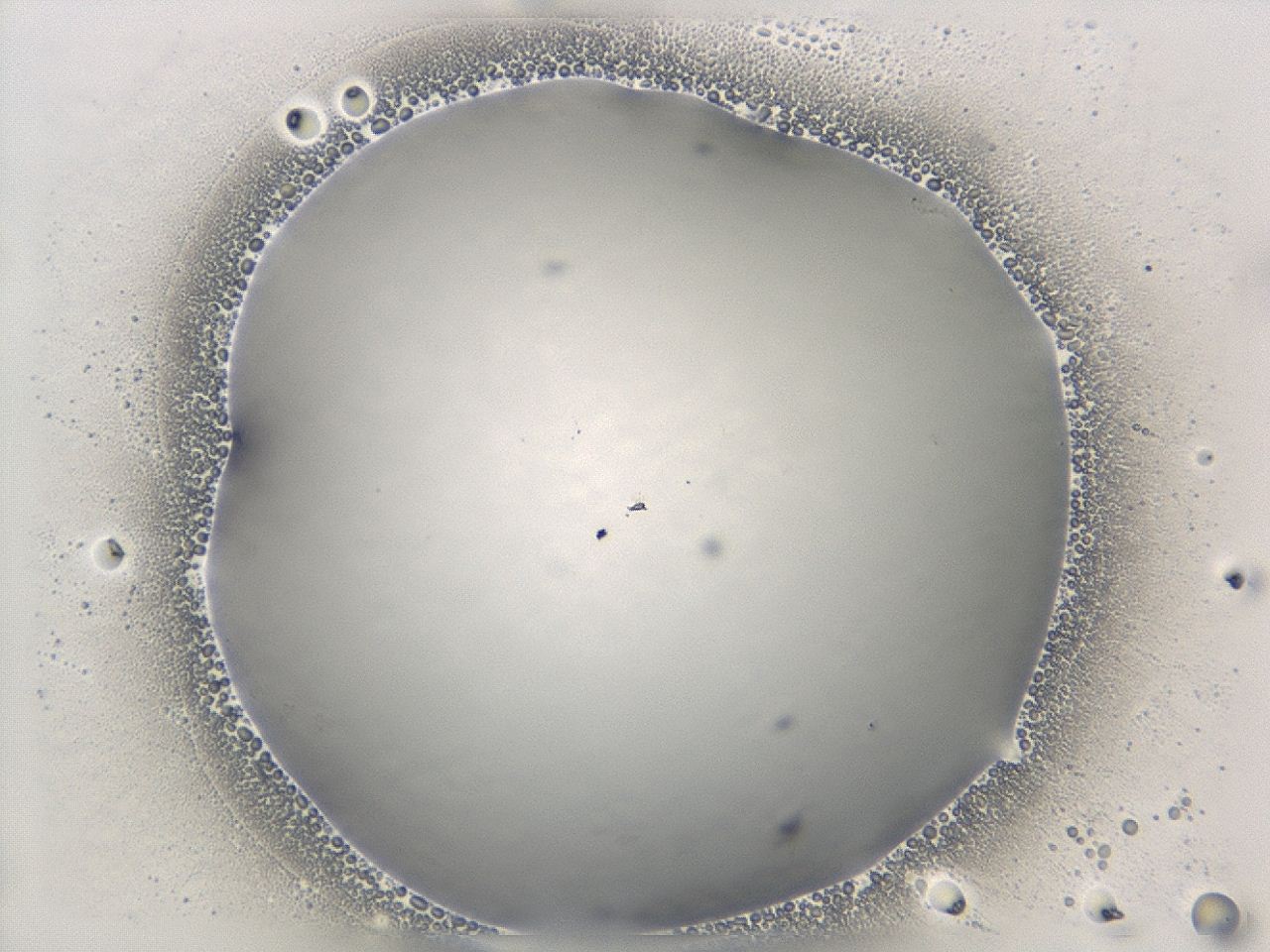 047e_C2_ImagerDefaults_0.jpg