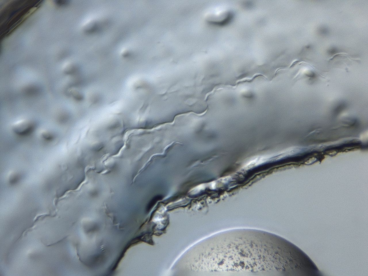 047e_B11_ImagerDefaults_3.jpg