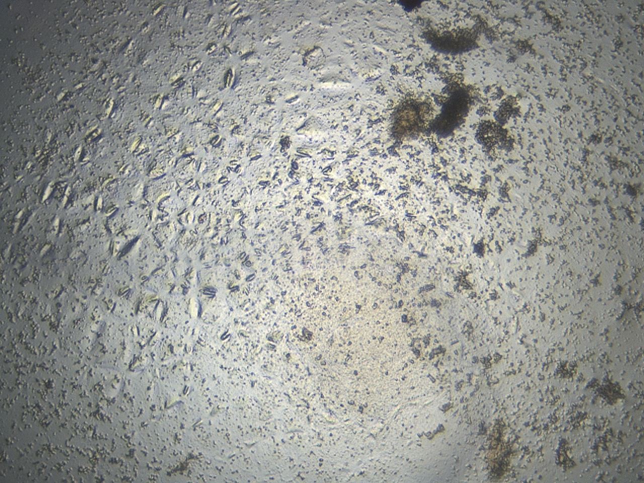 047e_C9_ImagerDefaults_3.jpg