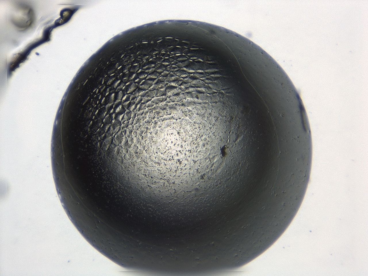 047e_C10_ImagerDefaults_3.jpg
