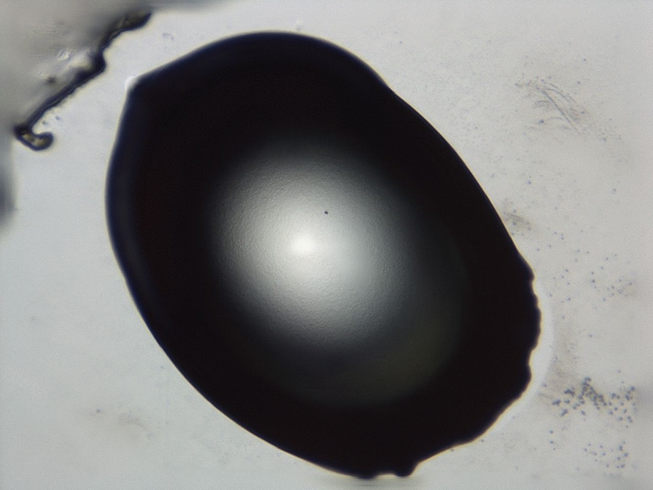 047e_C11_ImagerDefaults_0.jpg