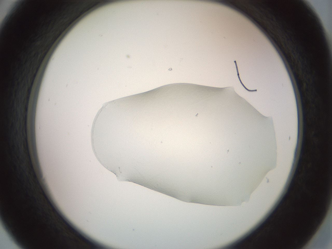 folderID502_plateID3502_batchID21373_wellNum30_profileID1_d2_r314177_ef.jpg