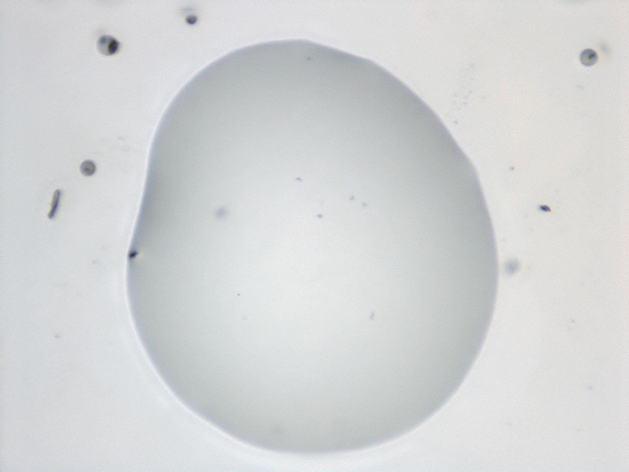 047e_D1_ImagerDefaults_0.jpg