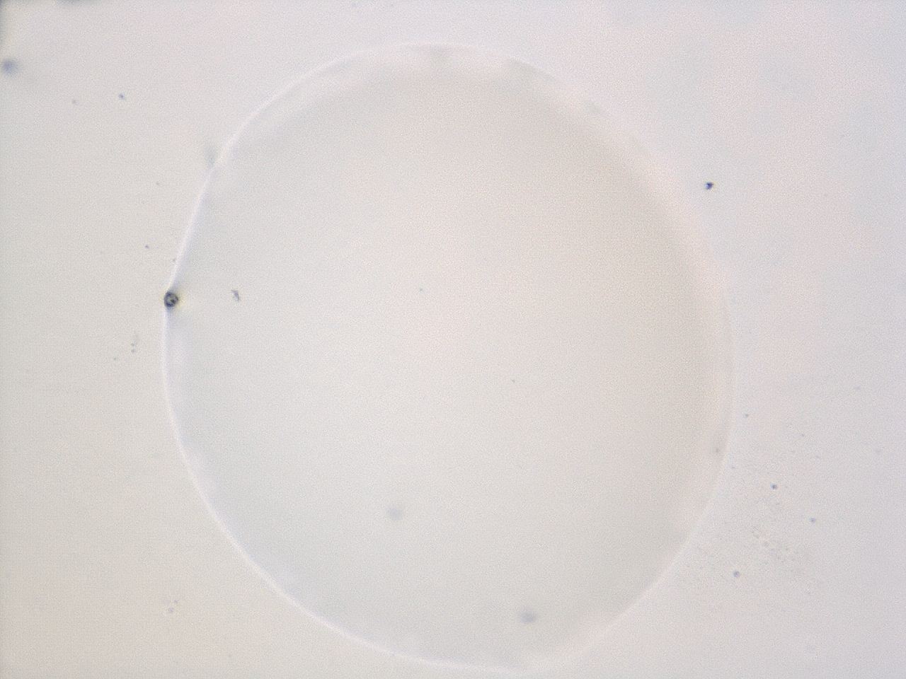 047e_D2_ImagerDefaults_0.jpg