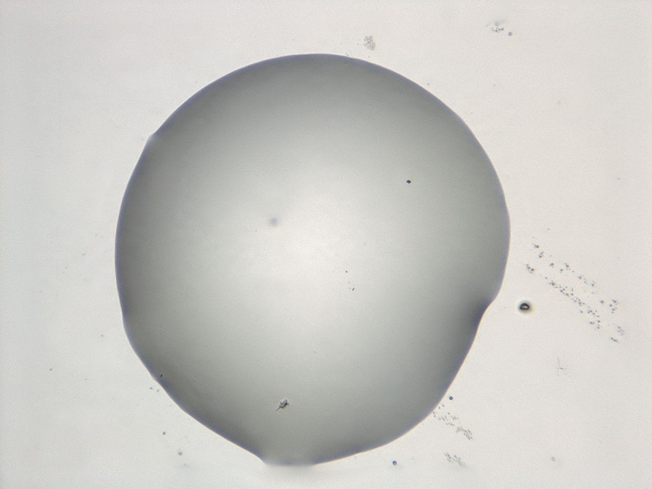 047e_D3_ImagerDefaults_0.jpg