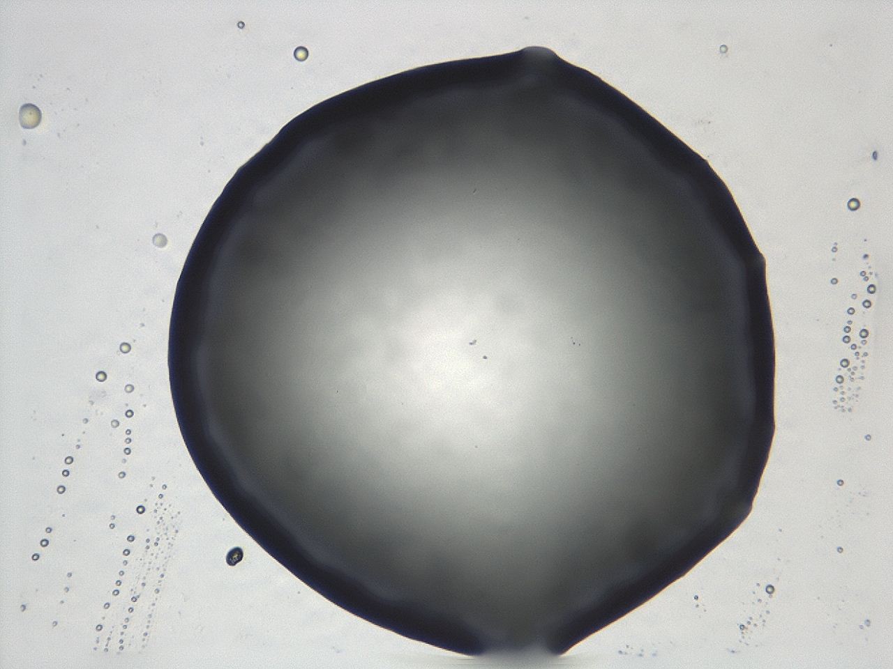 047e_D7_ImagerDefaults_0.jpg