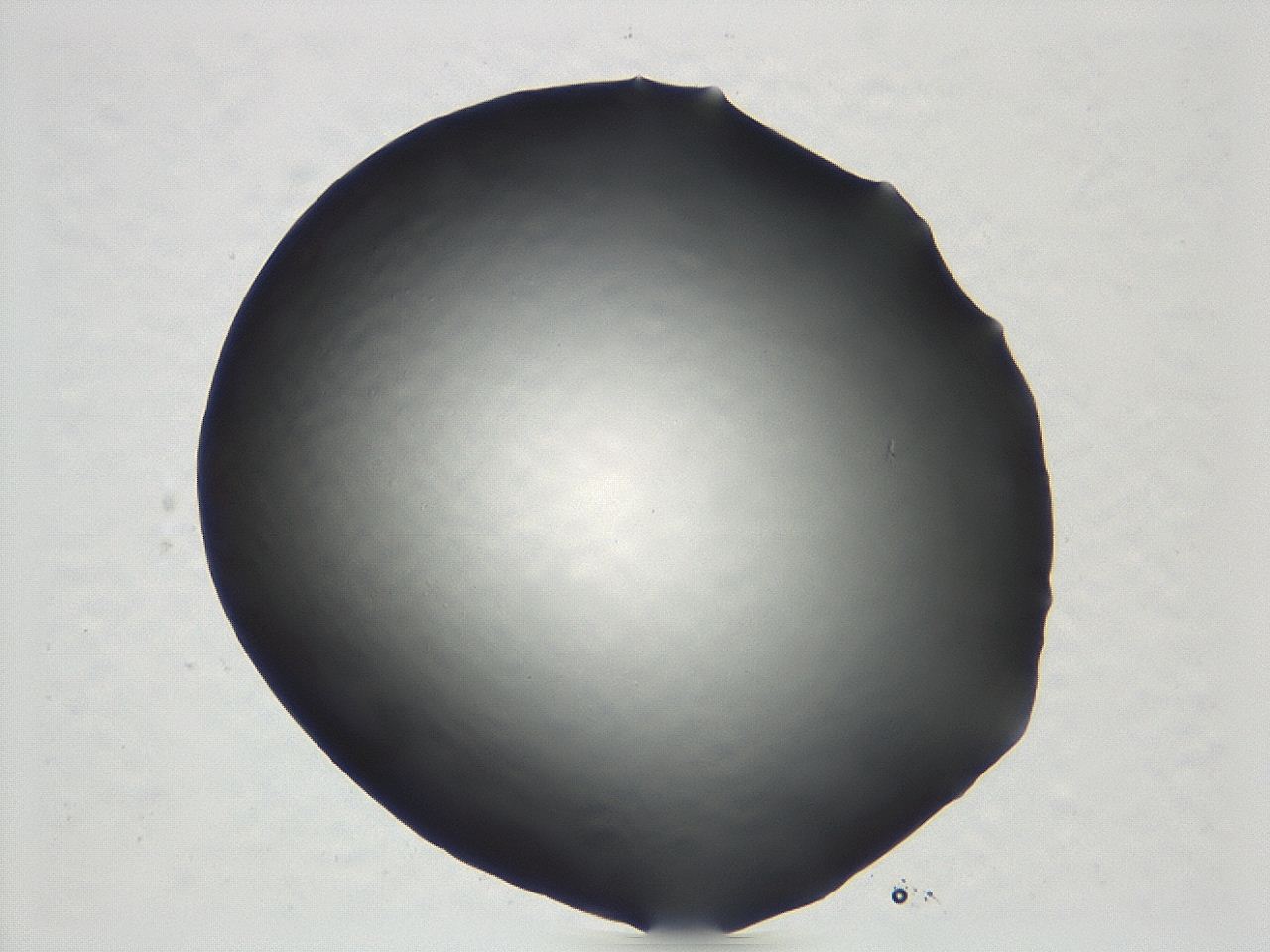047e_D8_ImagerDefaults_0.jpg